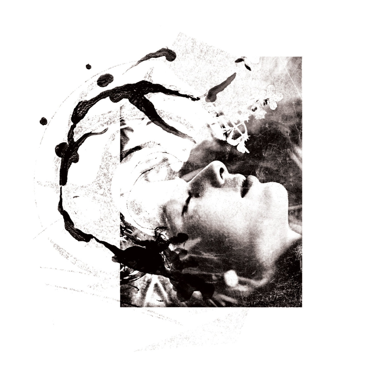 airut:aamujen cover art