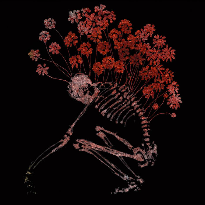 folk aesthetic cover art