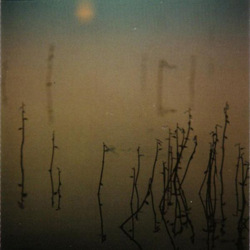 hallavedet cover art